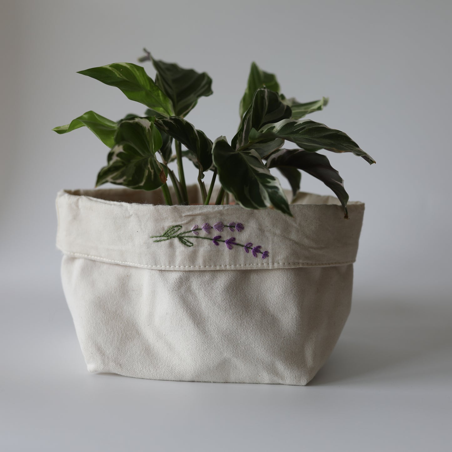 Cache-pot - la lavande