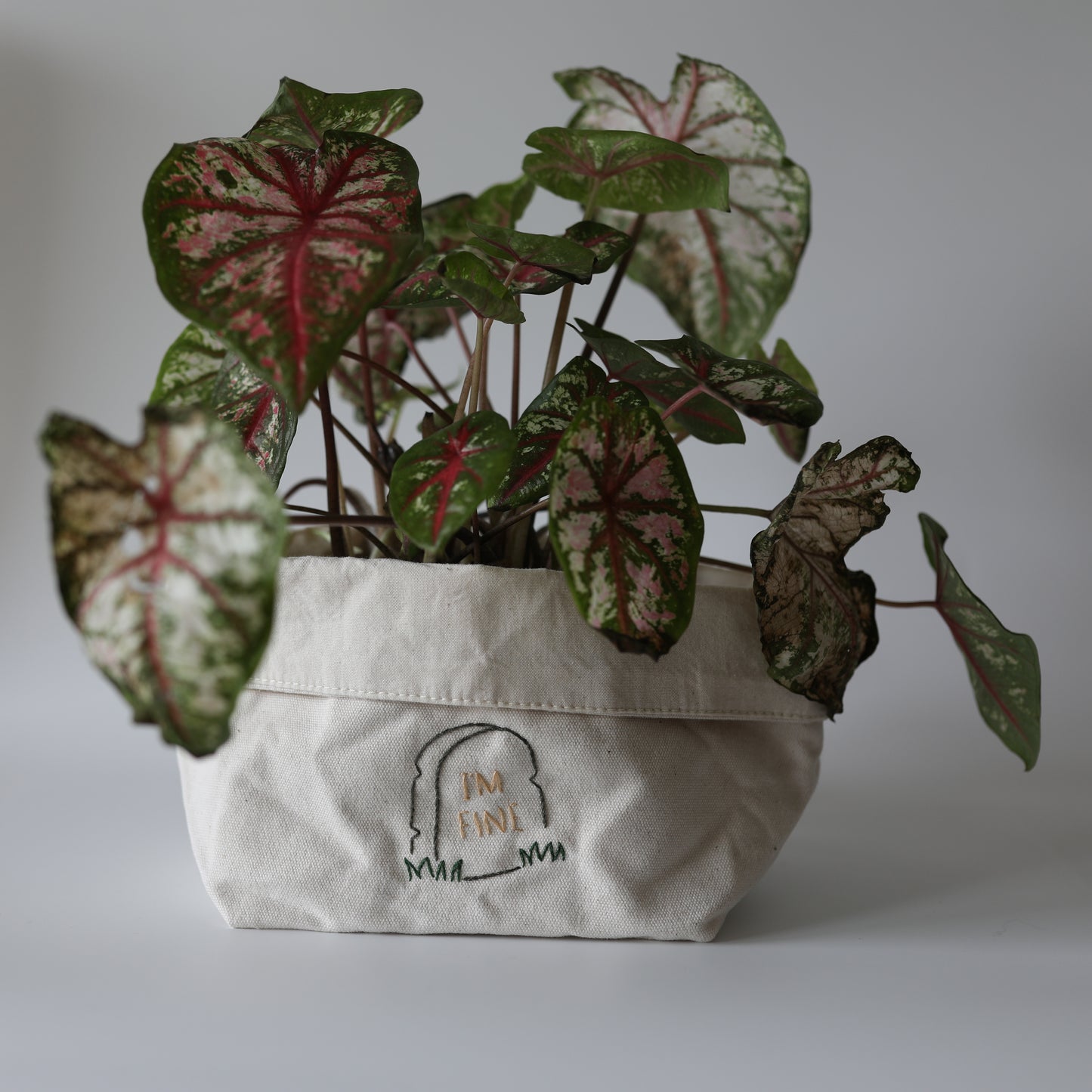 Cache-pot - I'm fine