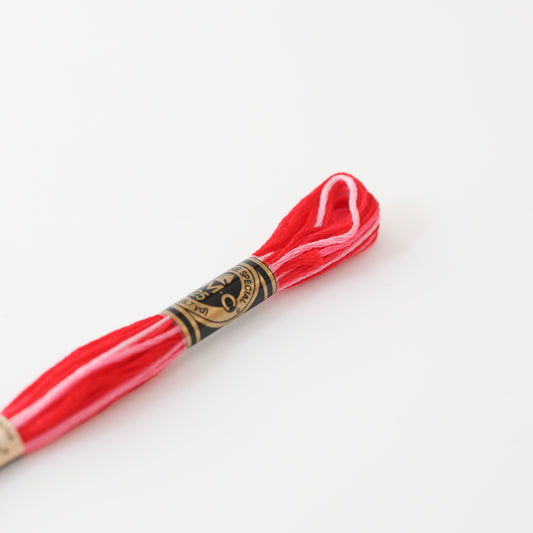 Fil à broder mouliné - Dégradé