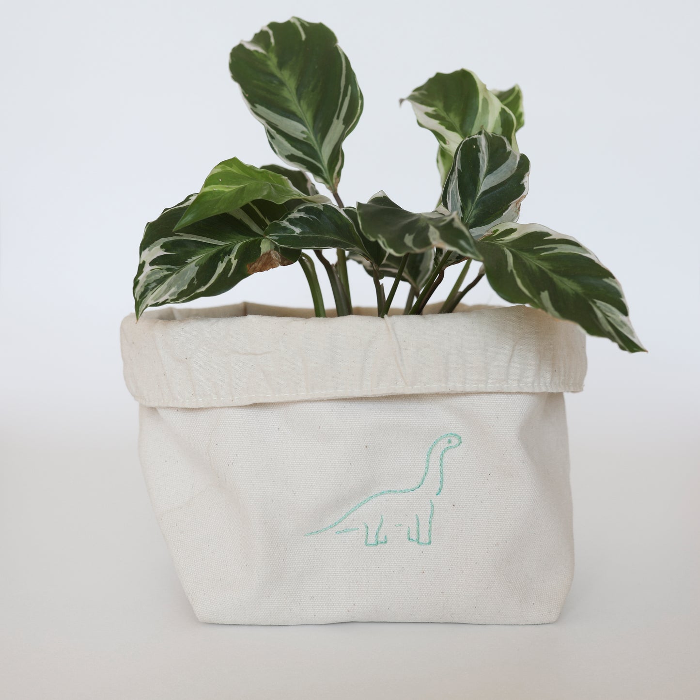 Cache-pot -  le dino