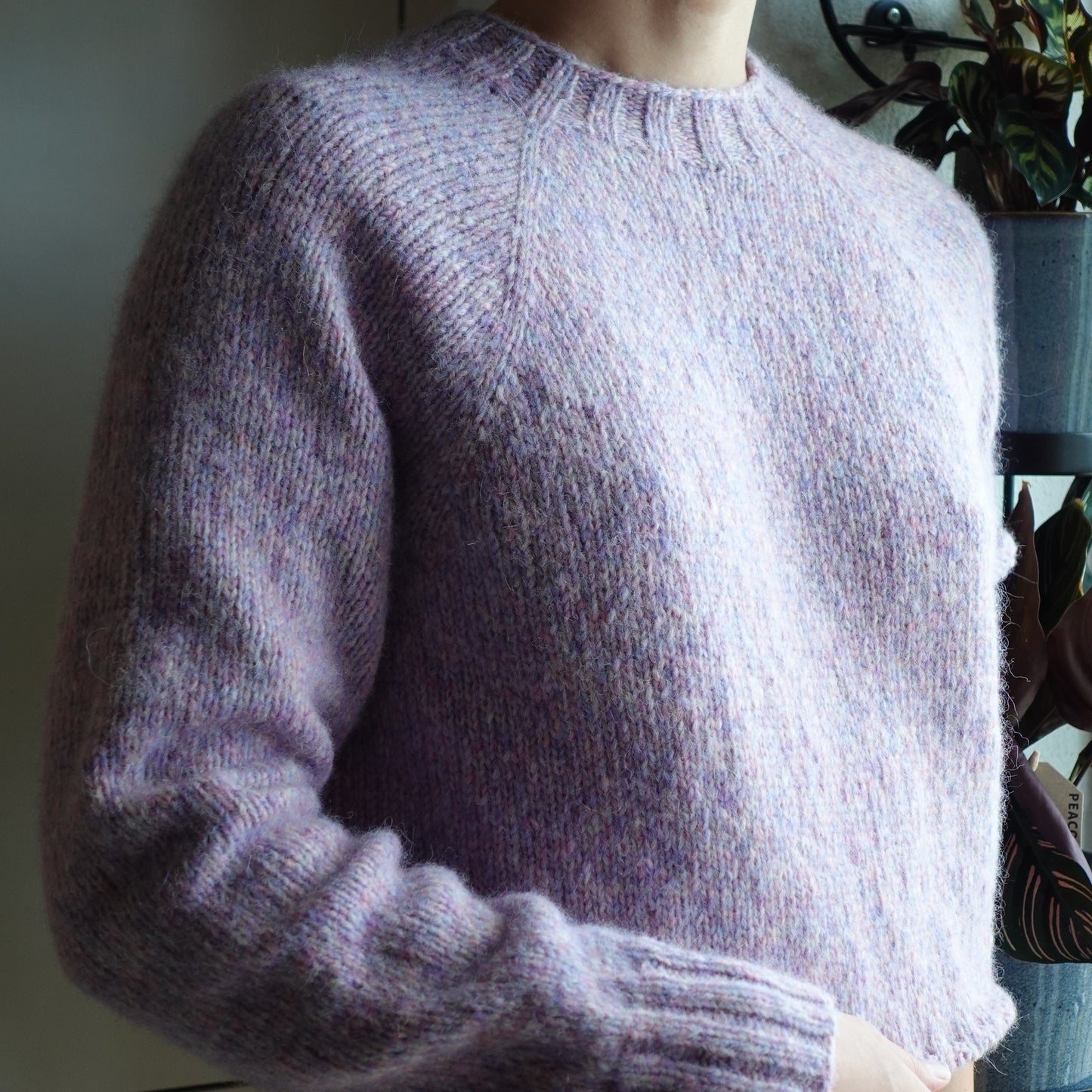 Atelier de Tricot - Mon premier pull