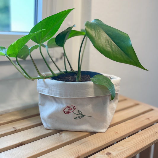 Cache-pot -  Poppy