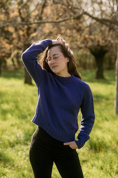 Atelier de Tricot - Mon premier pull raglan